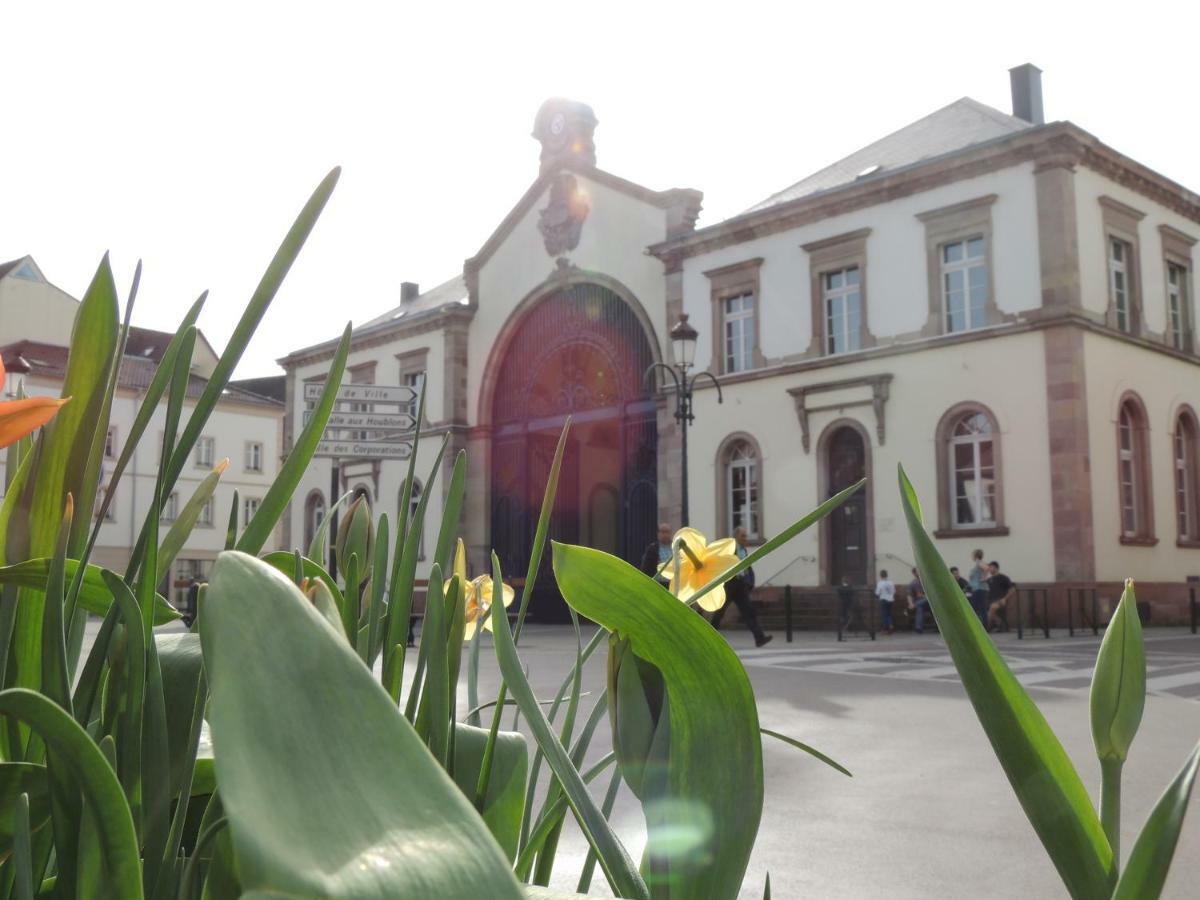 Appart'Azur Haguenau - Centre Grand'Rue - Logements Entiers Pour Voyageur Pro Exterior foto