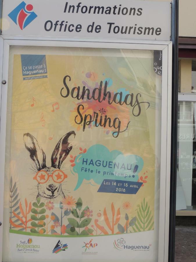 Appart'Azur Haguenau - Centre Grand'Rue - Logements Entiers Pour Voyageur Pro Exterior foto